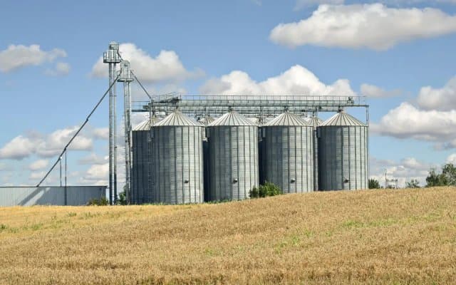 Ukrainian wheat: 2nd largest global buyer, Algeria is already paving its way towards autonomy