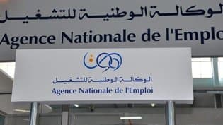 Unemployment Grant: Processing of More than 800,000 Complaints