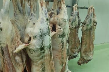 Urgent measure to distinguish between imported and local meats!