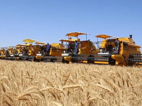 Urgent program to train combine harvester drivers to address skill shortages and reduce crop losses