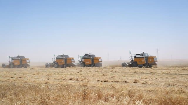 Very Positive Outcome of the Harvest and Threshing Campaign