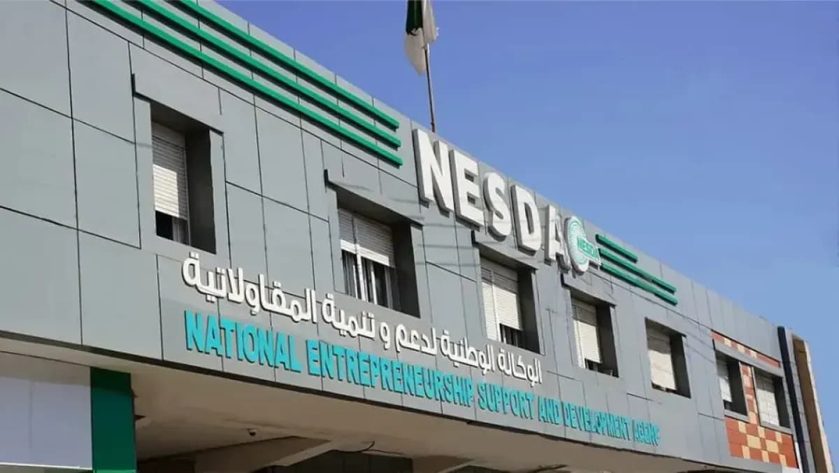 Wadih reveals expansions for regional and local branches of the NESDA agency