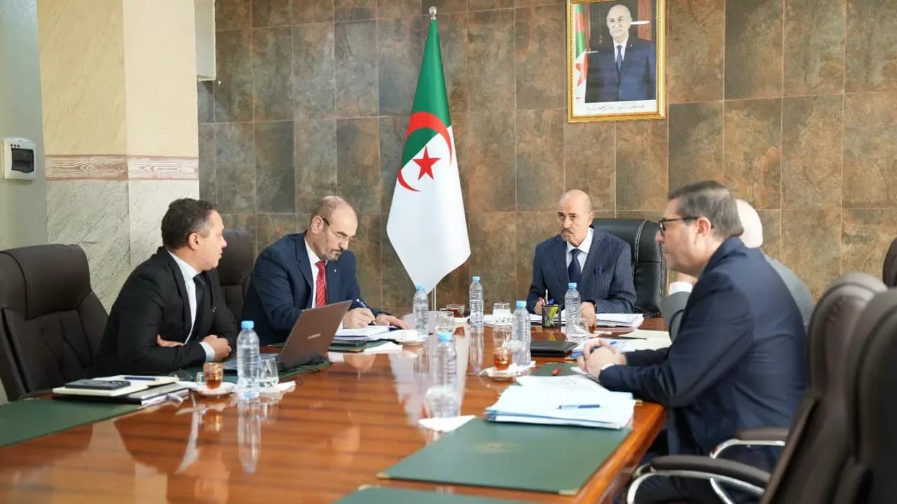 Working session to evaluate the performance of the Algerian Holding Company for Chemical Specialties and prospects for developing its activities