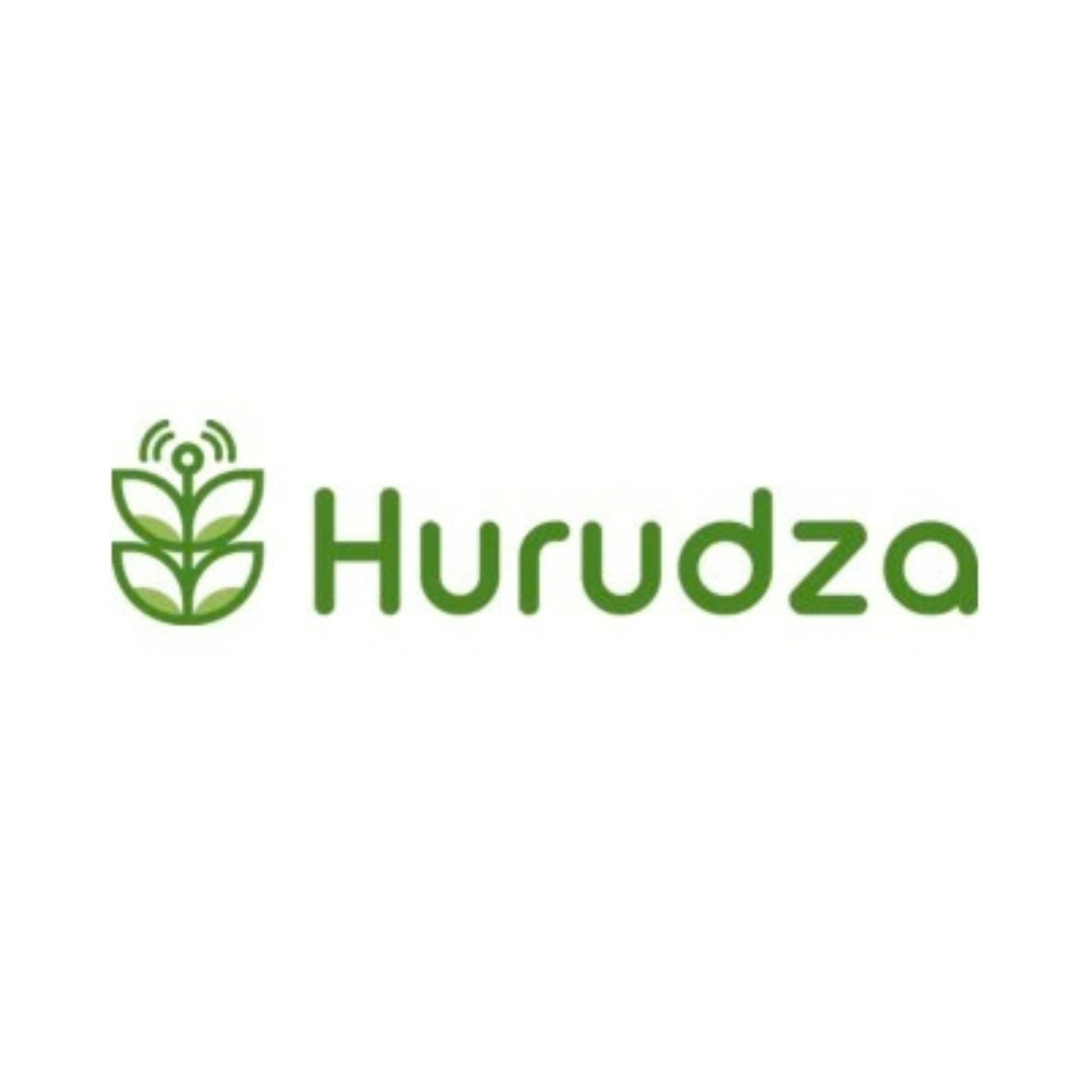 Hurudza