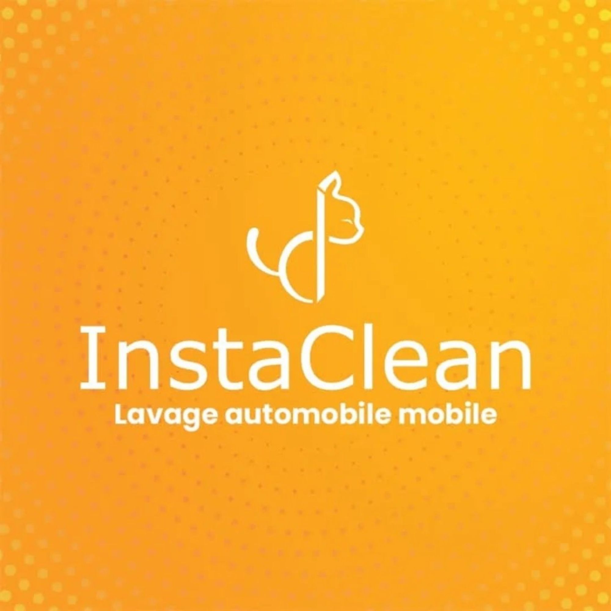 Instaclean