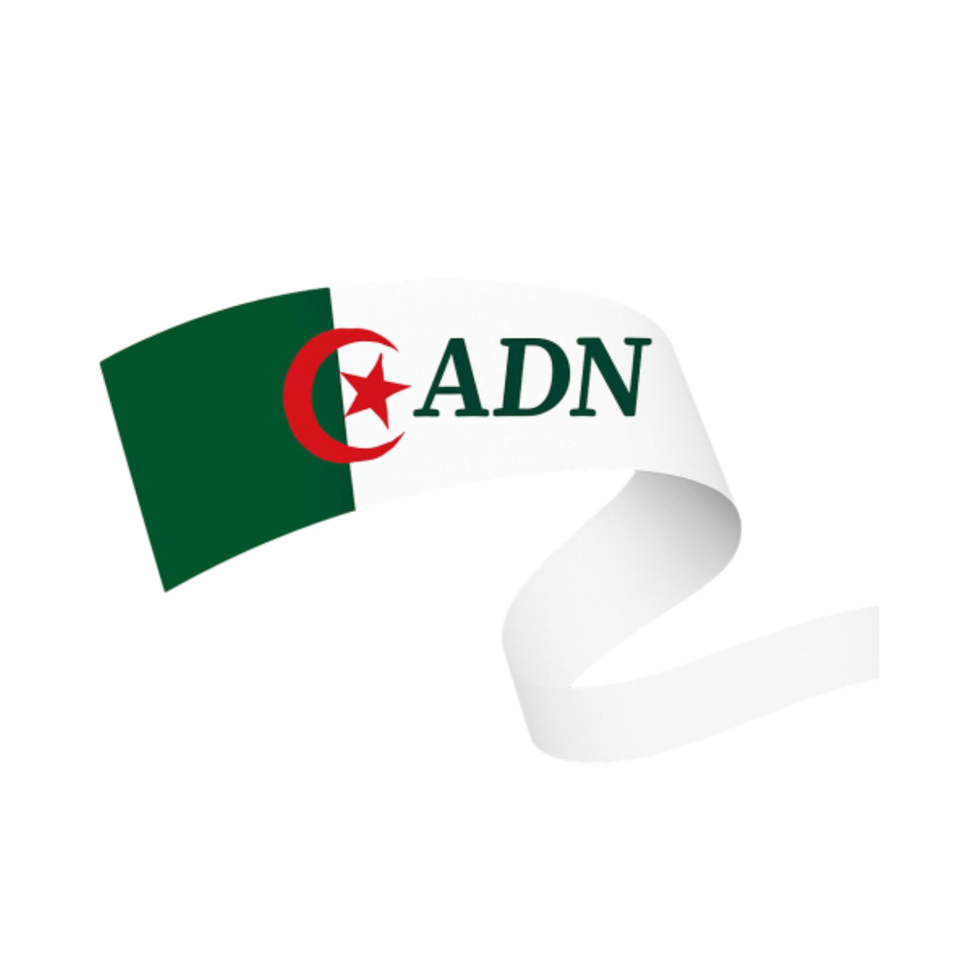 Algérie Diaspora Network