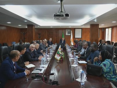 A delegation from the Nigerien Ministry of Petroleum visits Algeria to enhance energy cooperation