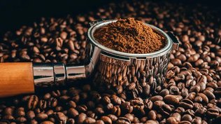 A New Step to Organize the Café and Roasters Market in Algeria