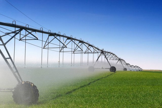 Abderrahmane Hadef, International Consultant in Economic Development: "We need to build an agile, digitized, and responsible agricultural administration"