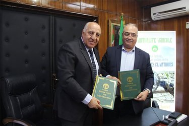 Accompanying Algerian Agricultural Products to International Markets