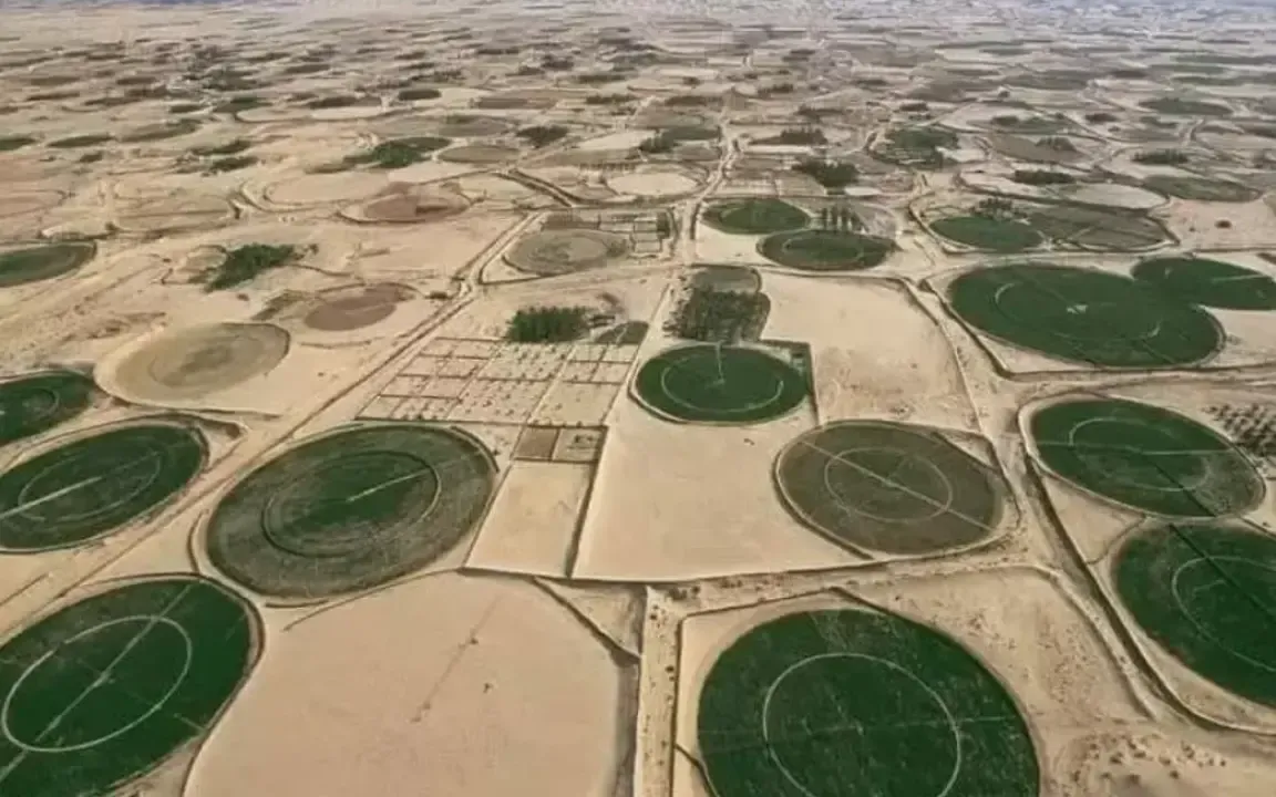 Adrar: The Sahara Reinvents Itself as an Agro-Industrial and Tourist Hub