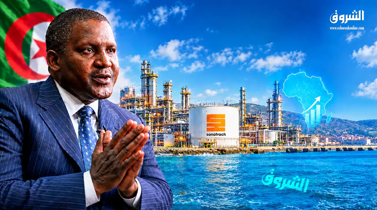 Africa's Richest Man Cites Algerian Project.. Here Are Its Figures and Details