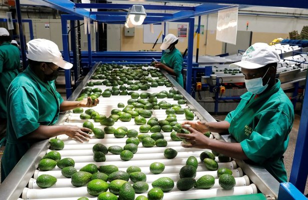 Agri-food trade between the United States and Africa: A historic turning point in 2025