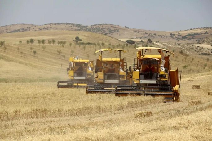 Agricultural development: A big step towards modernization