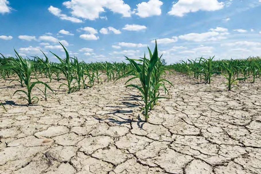 Agricultural insurance: A branch awakening, driven by climate and trade