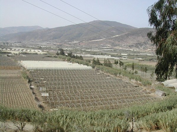 Agricultural sector: A parliamentary mission in Aïn Defla