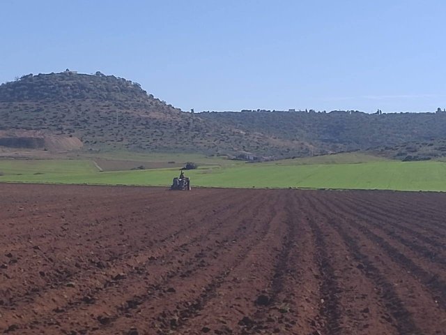 Agriculture 4.0 and Agro-industry: The economic lung of Mascara