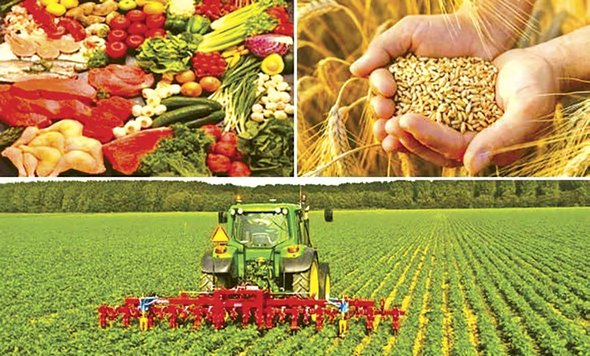 Agriculture and food security: Major projects for economic sovereignty