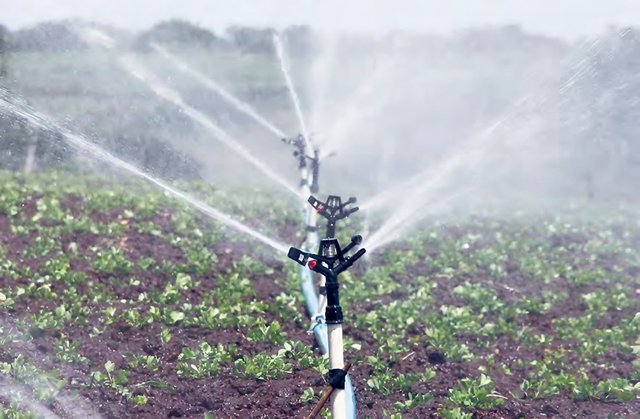 Agriculture: "Extension of irrigation areas using treated water"