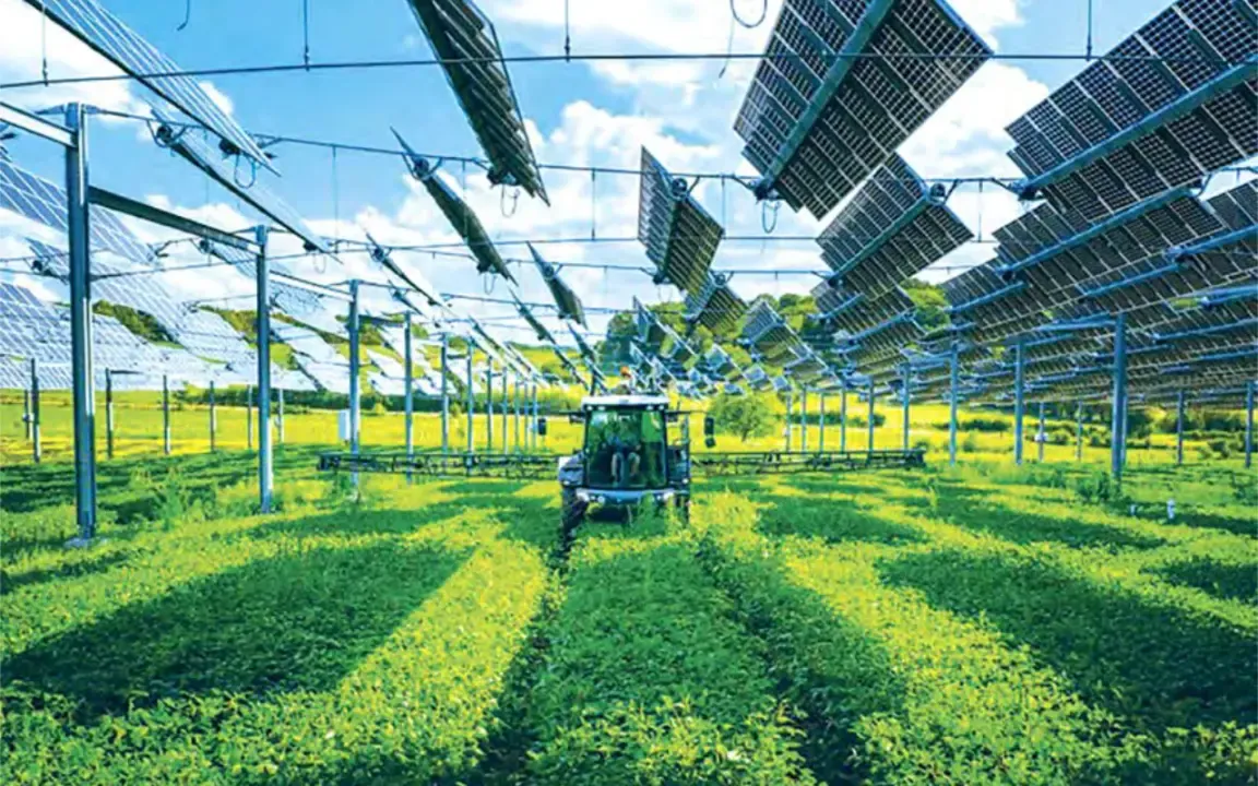 Agrobusiness Digital Innovation Hub Project: Initial Deployment Results
