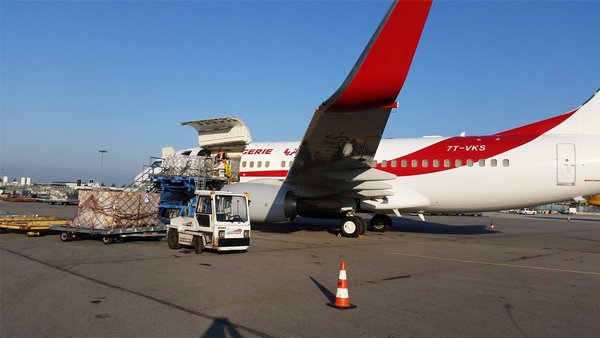 Air Algérie-National Airport Management Company: Cargo Lever of Foreign Trade