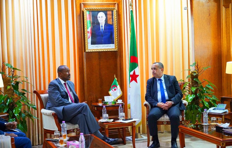 Ajjal discusses with the Executive Director of the African Energy Commission the energy development programs
