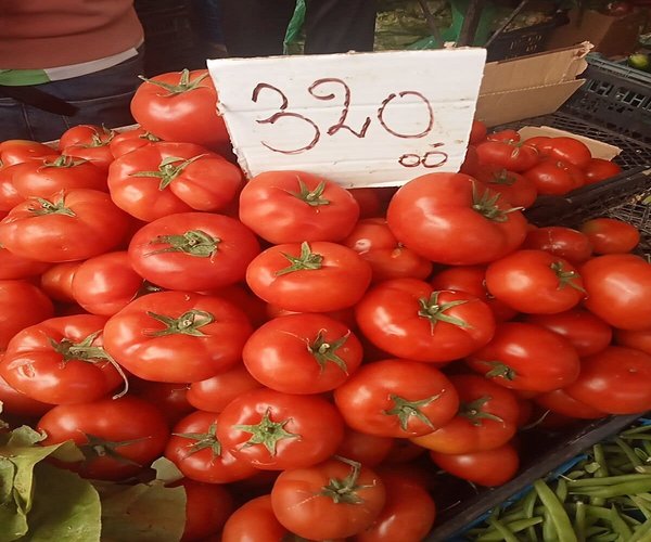 Algeria a victim of its abundance: when the absence of logistics turns harvests into shortages