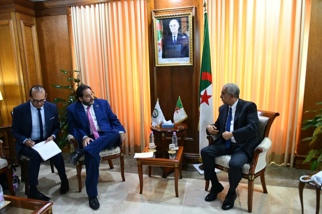 Algeria and OLACDE agree to exchange expertise in mineral resource valuation - Iqtissad Al Balad
