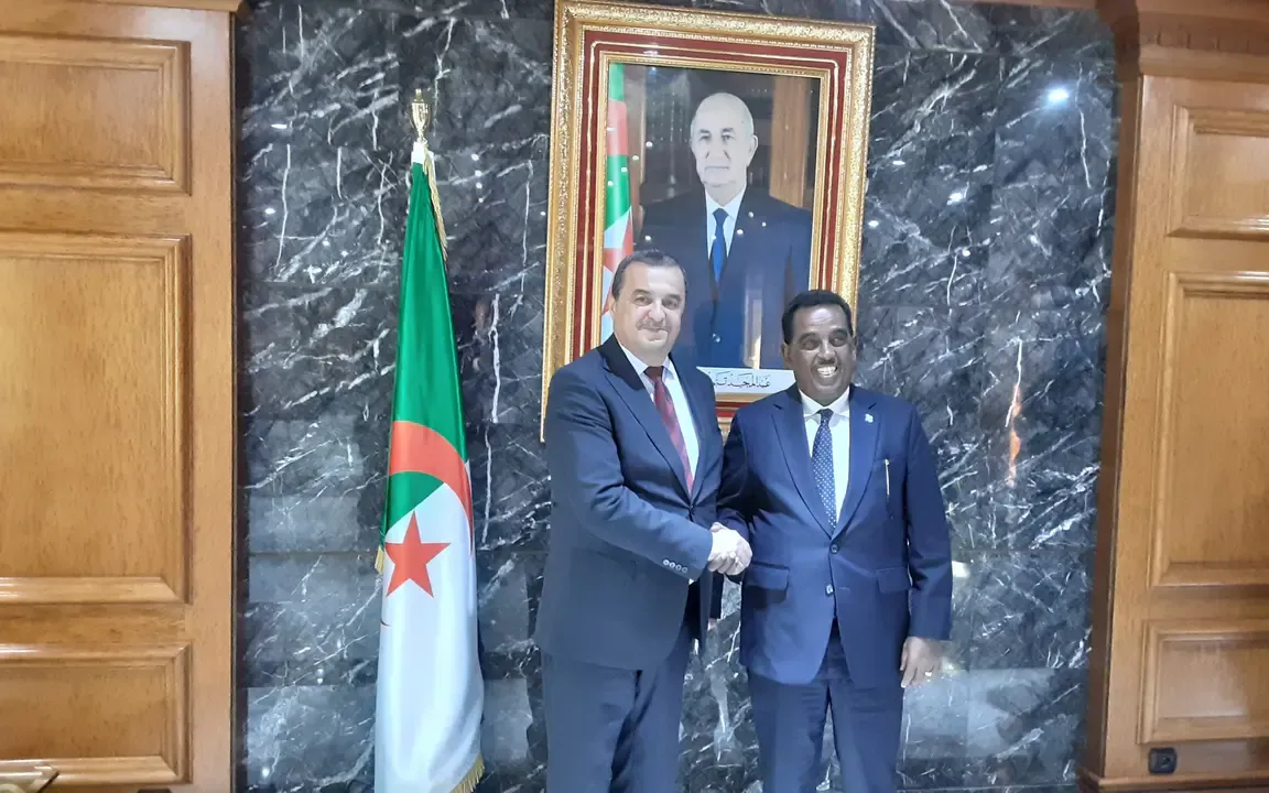 Algeria and Somalia Discuss Enhancing Cooperation in Hydrocarbons