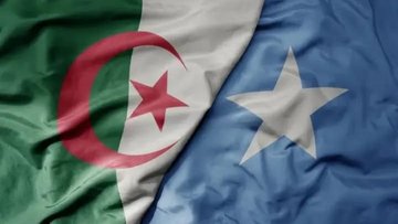 Algeria and Somalia Discuss Expanding Cooperation in Hydrocarbons and Energy Training