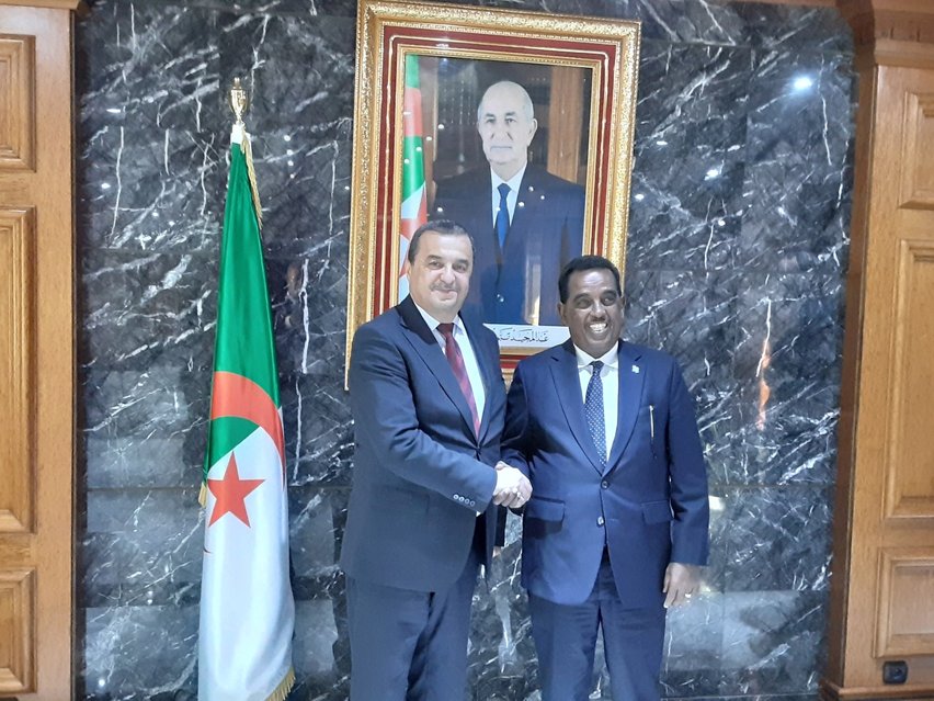 Algeria and Somalia Discuss Strengthening Cooperation in the Field of Hydrocarbons and Developing Energy Partnerships