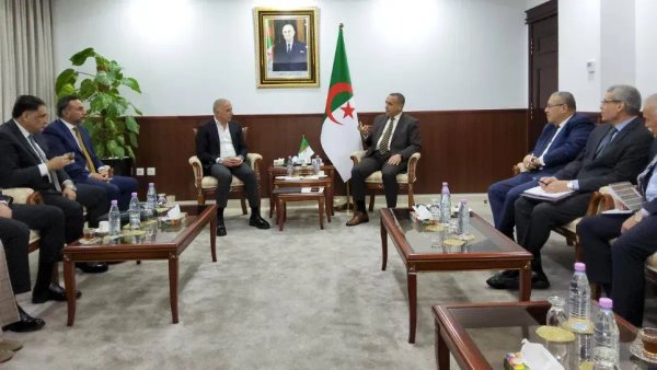 Algeria and the Swedish Electric Group are exploring the expansion of their partnership towards African markets