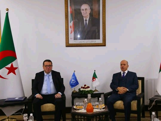 Algeria discusses with the International Labour Organization the development of employment and social protection policies - Iqtissad Al Balad