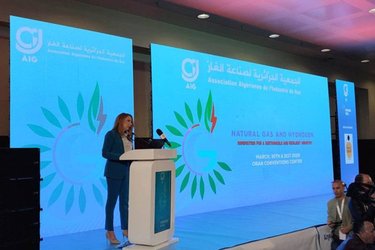Algeria is a Global Leader in Liquefied Natural Gas