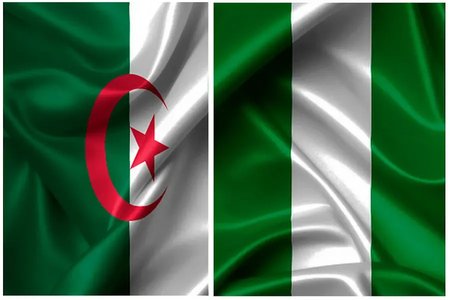 Algeria participates with Nigeria in the international exhibition of pharmaceutical products next April