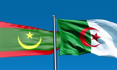 Algeria plans to import one million Mauritanian sheep - Iqtissad Al Balad