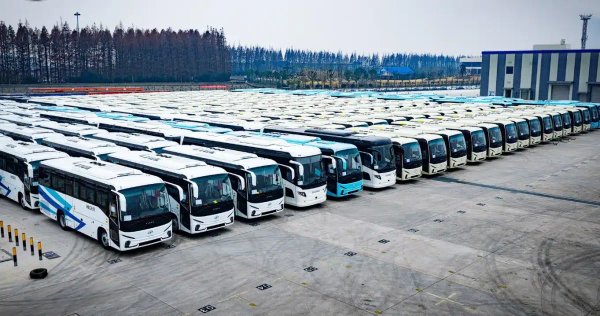 Algeria Port Receives 568 Units of Imported Buses