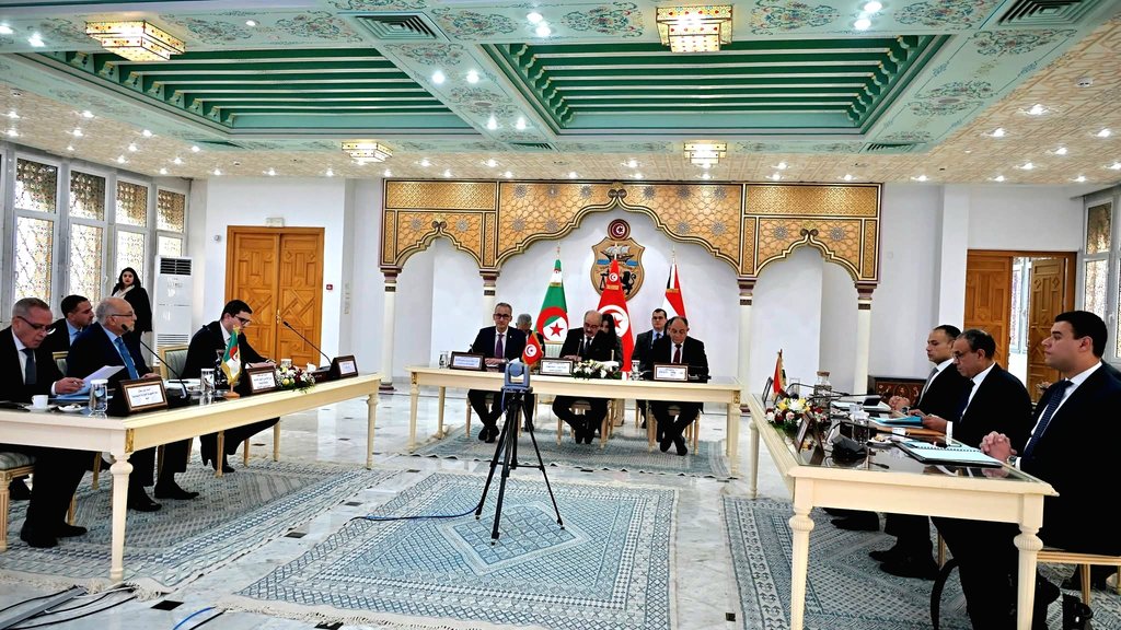 Algeria, Tunisia, and Egypt Renew Their Rejection of Foreign Interventions in Libya and Support the Political Settlement Process