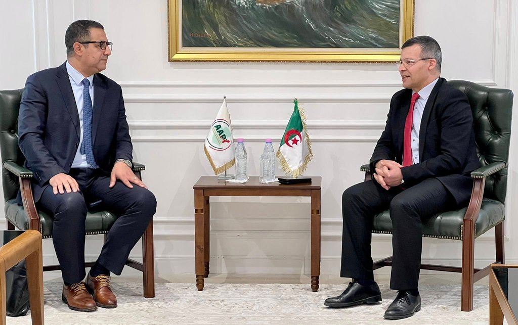 Algerian Agency for Investment Promotion: Working Meeting to Follow Up on the Iron Ore Valorization Project in Gara Djebilet