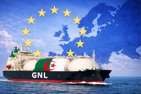 Algerian gas exempted from EU auditing