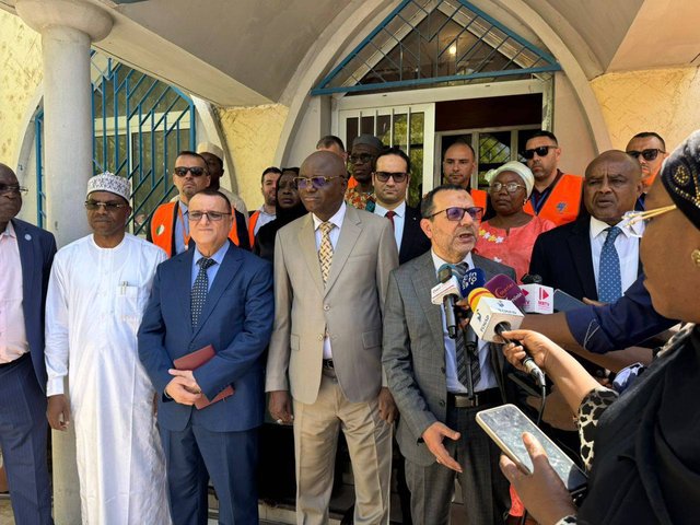 Algerian technical delegation arrives in Chad to launch electricity production station project
