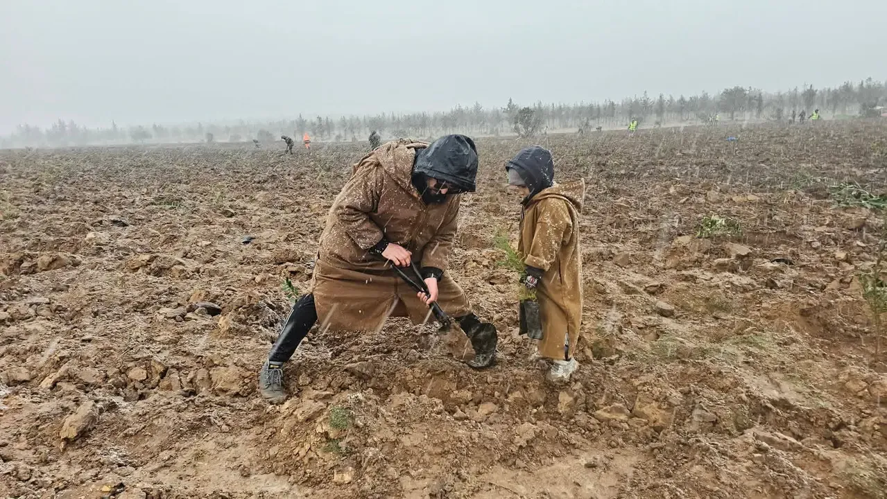 Algeria's Challenges: Smart Mechanization and a 'Green Revolution'