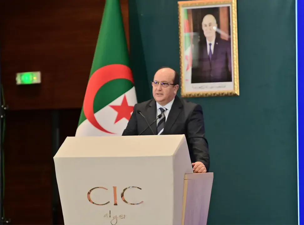 Algeria's Role in Promoting African Integration