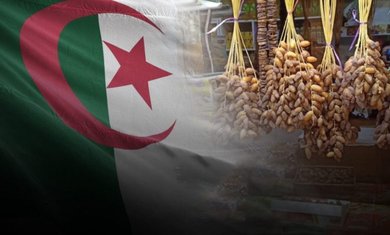 An Algerian Wilaya Achieves Production Exceeding 920,000 Quintals of Dates