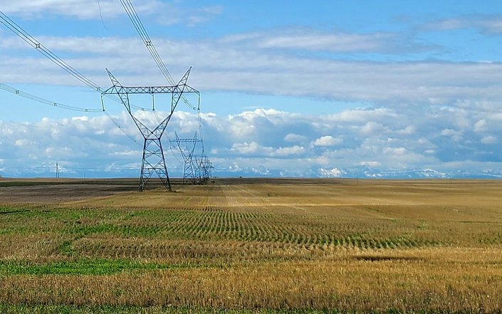 Aïn Témouchent: Over 1,000 Agricultural Exploitations Connected to Electricity