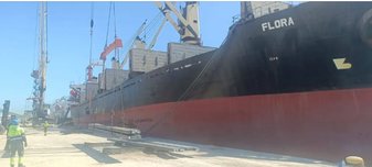 Annaba Port: Commencement of Shipping 22,000 Tons of Steel Bars as Part of Export Operation to Italy