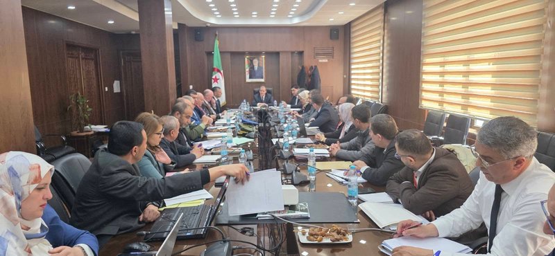 Appointment of the Guidance Council of the Algerian Export Agency