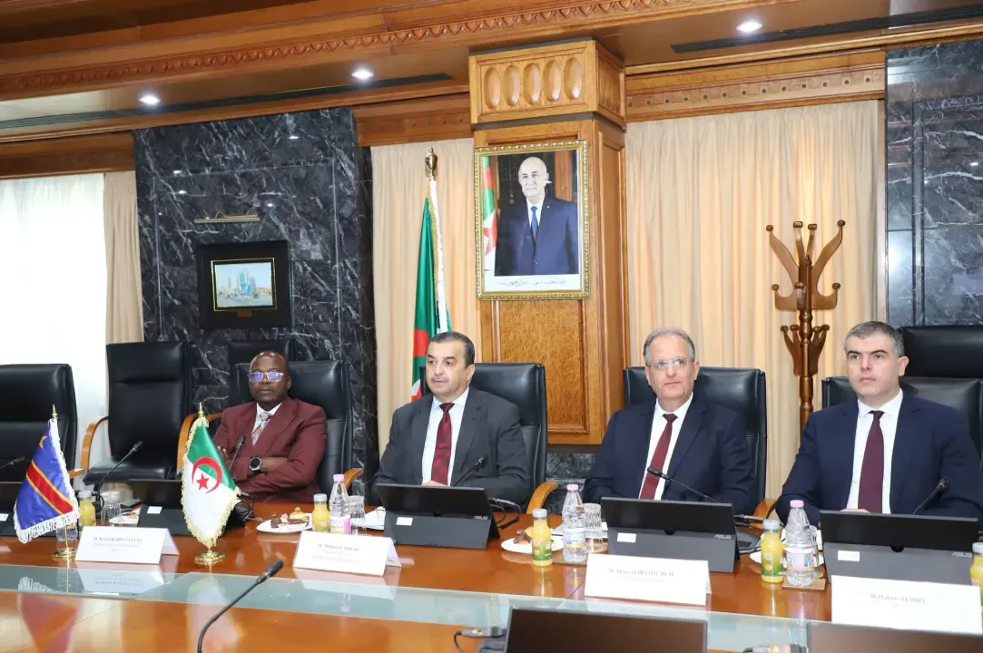 Arqab participates in the extraordinary ministerial meeting of the African Organization of Oil Producing Countries