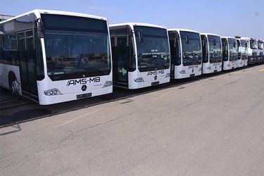Arrival of 868 Buses of Various Types at the Port of Algiers