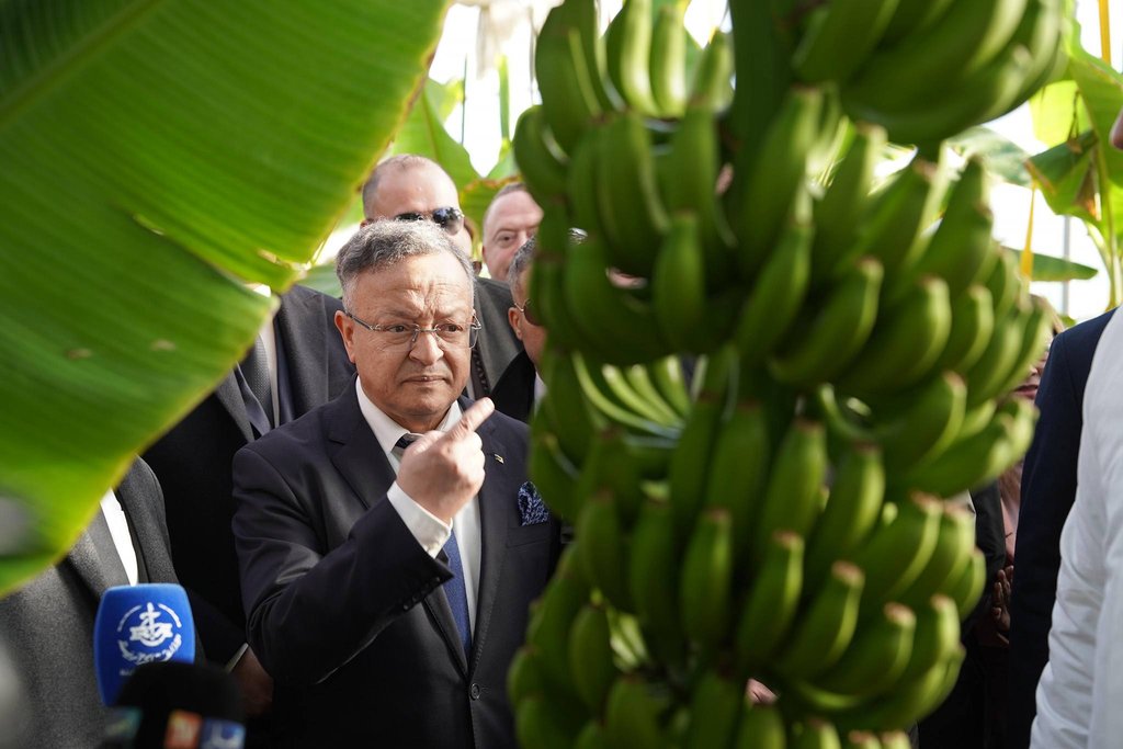 Badari inspects a biotechnological agricultural station for banana seedling production